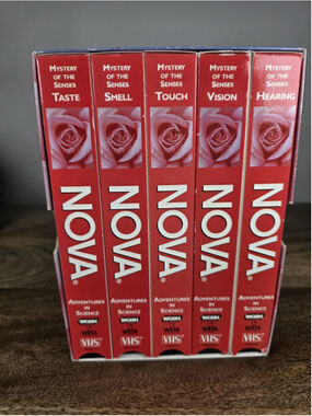 NOVA Mystery of the Senses VHS 5 Tape Box Set Diane Ackerman PBS WGBH 1995
